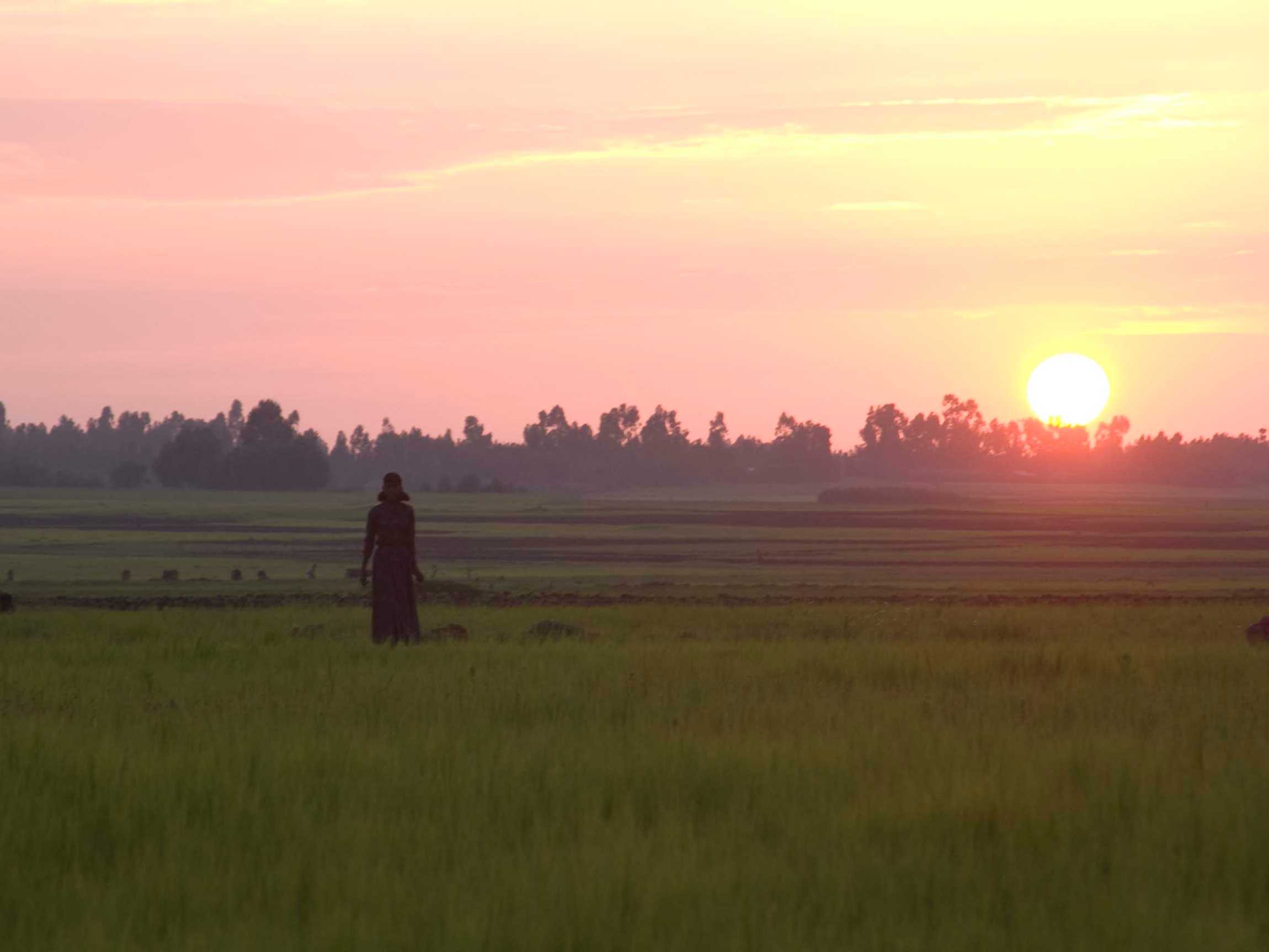 Frau vor Sonnenaufgang