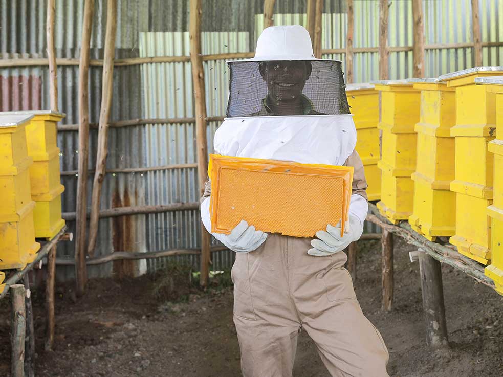 Äthiopischer Imker bei seinen Bienenstöcken