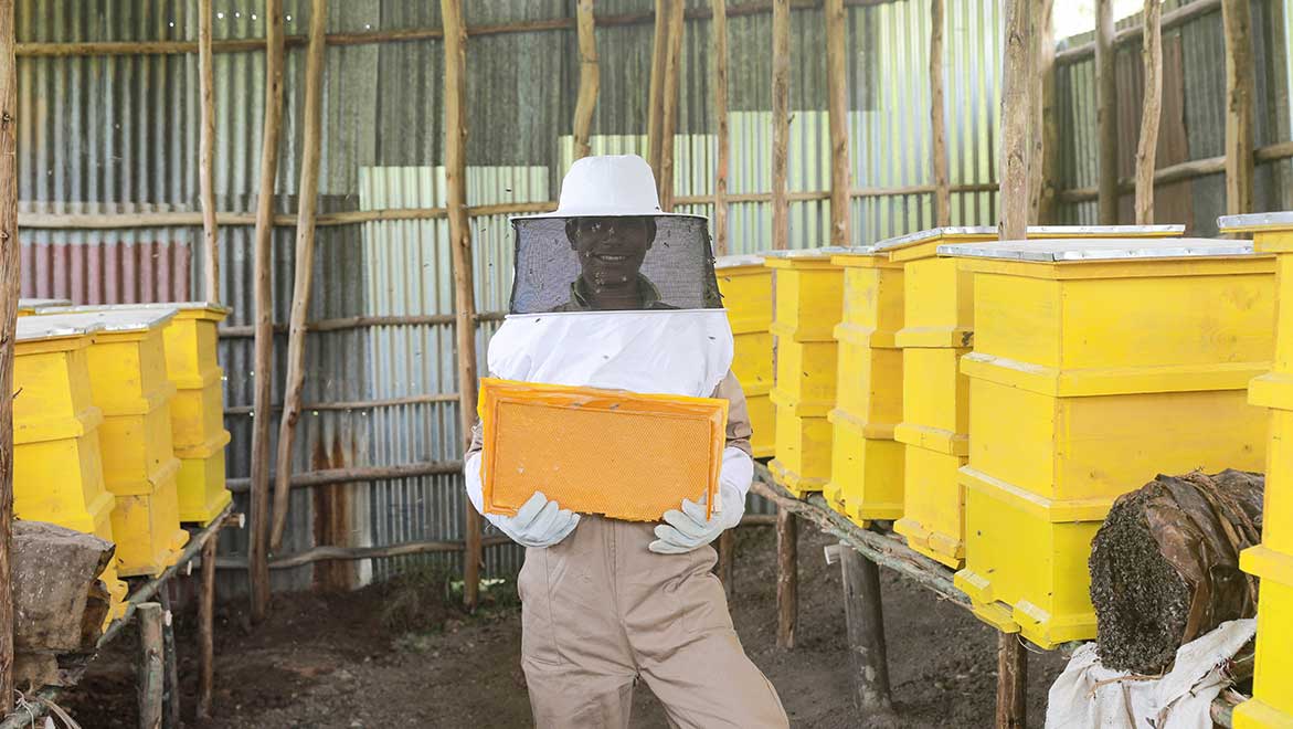 Äthiopischer Imker bei seinen Bienenstöcken