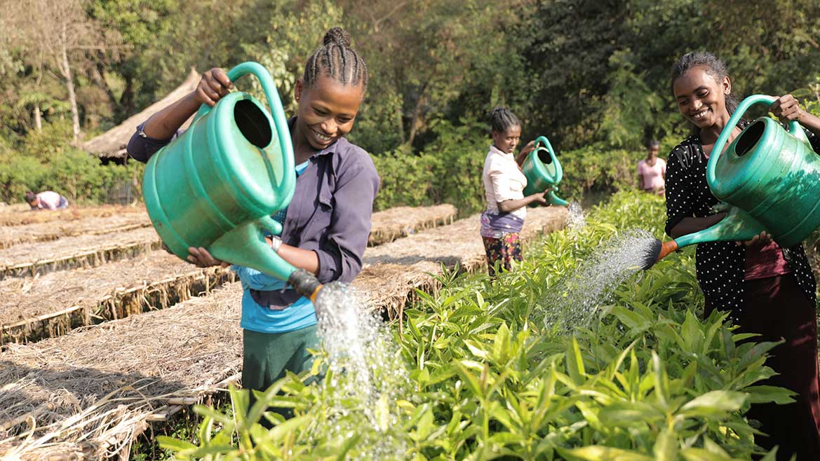 3 Frauen in Äthiopien gießen Pflanzen in einer Baumzucht