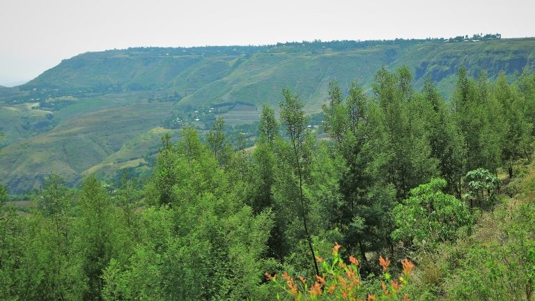 Äthiopische Landschaft Wogdi