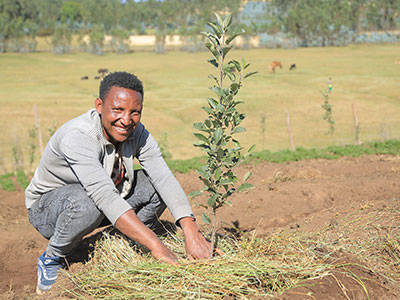 Ein Mann in Äthiopien pflanzt einen Baum