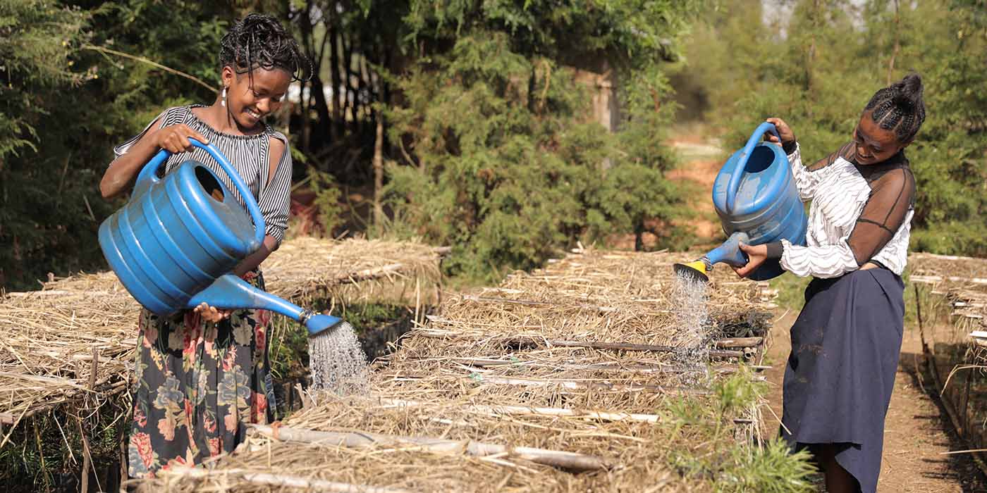 Zwei äthiopische Mädchen gießen.