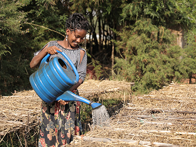 Äthiopisches Mädchen gießt mit einer Gießkanne.