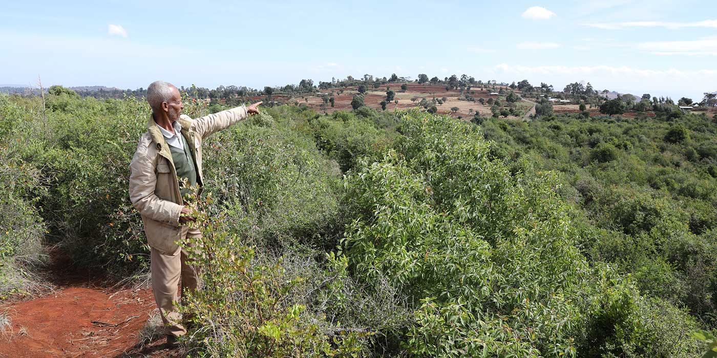 Ein Mann in Äthiopien zeigt auf einen großen Jungwald