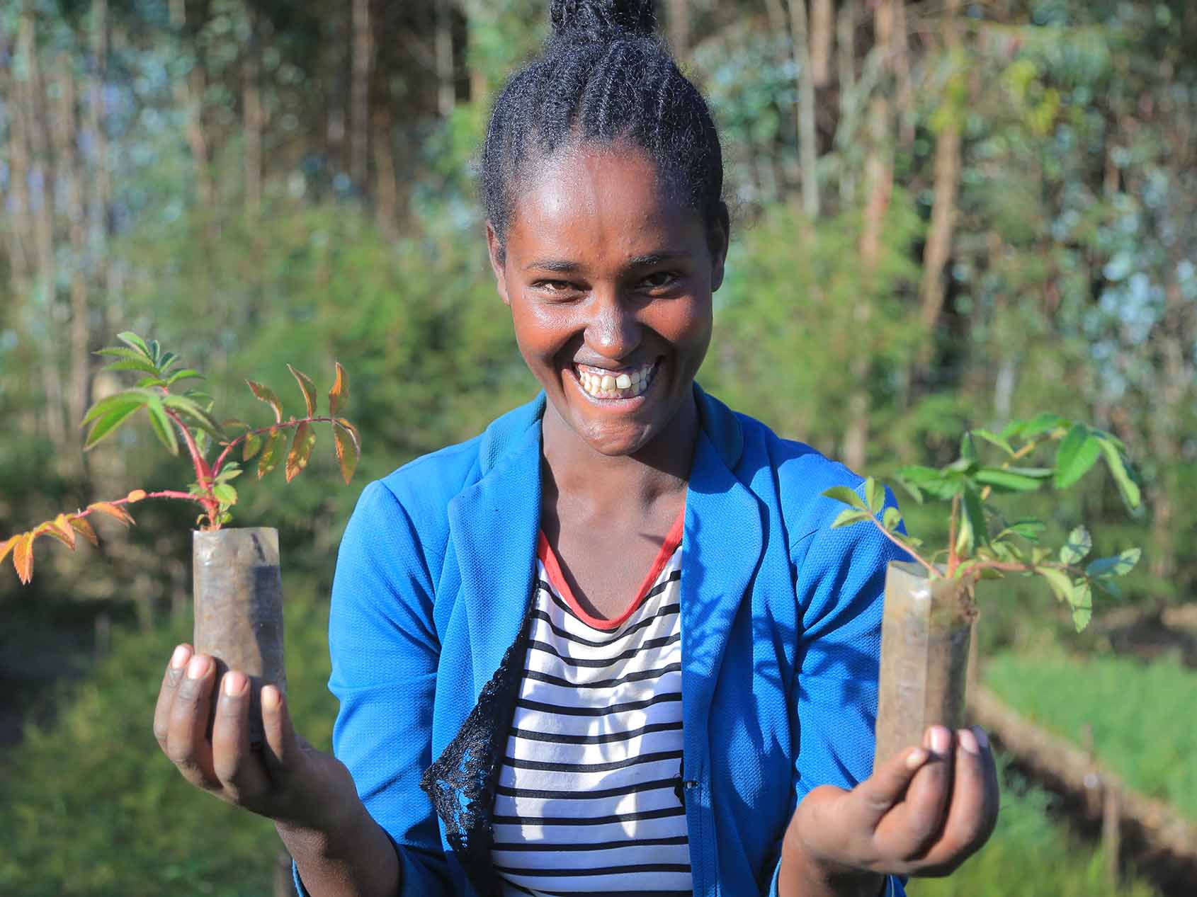 Frau mit Baumsetzlingen in den Händen in Äthiopien