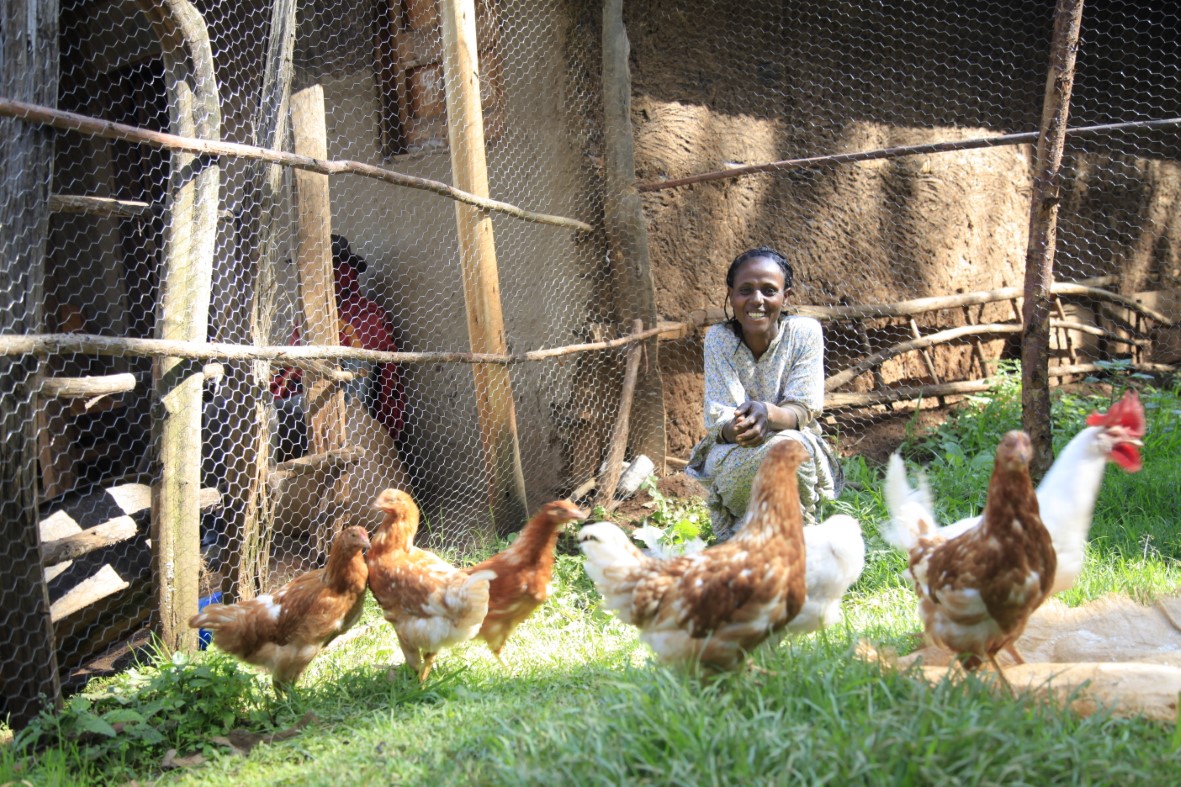 Frau in Äthiopien lächelt und kniet vor einer Hühnerschar, die sich auf grünem Gras tumelt