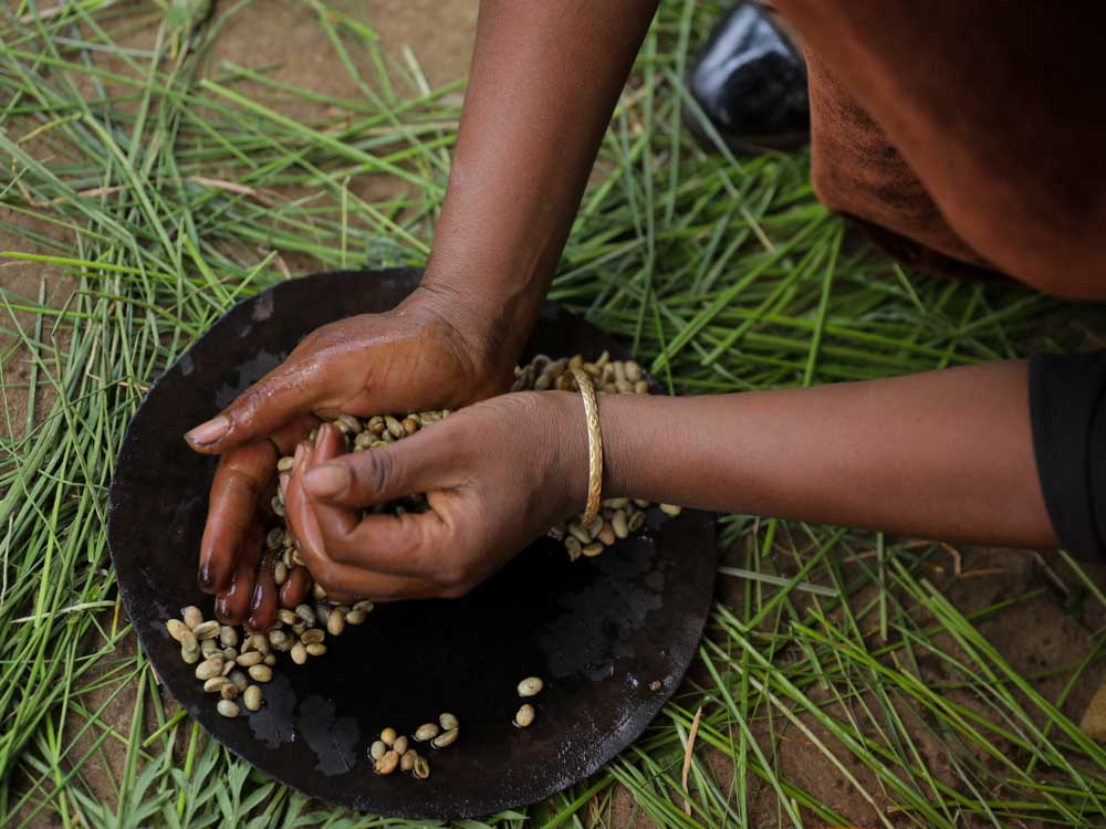 Kaffee in Äthiopien wird in einer Schale gewaschen