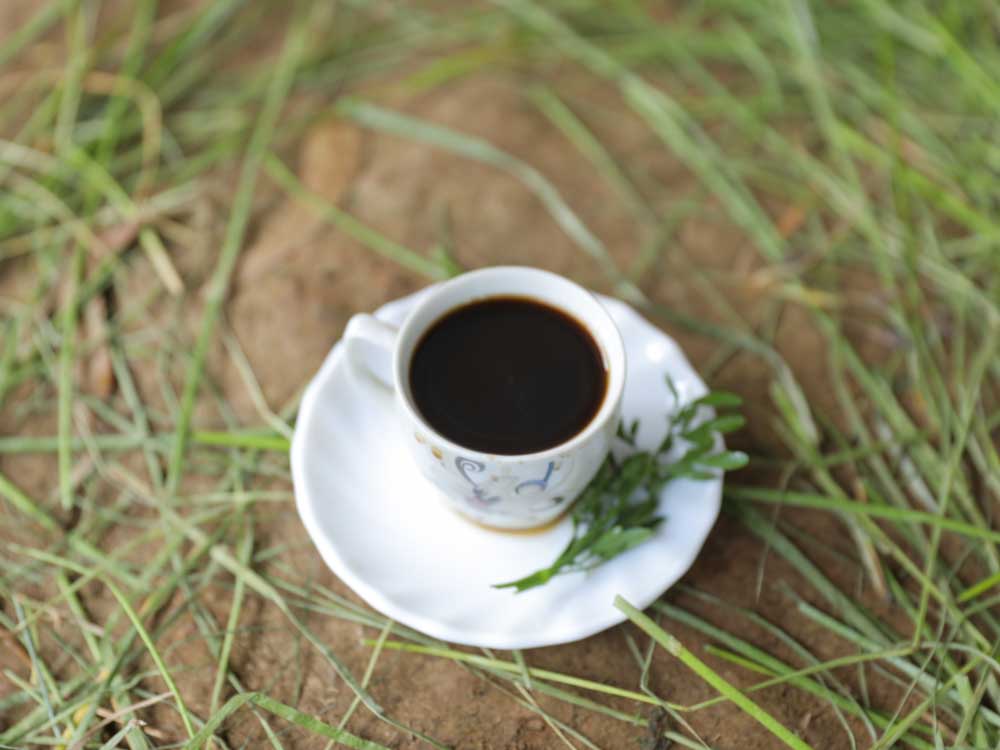Kaffeetasse in Äthiopien im Gras