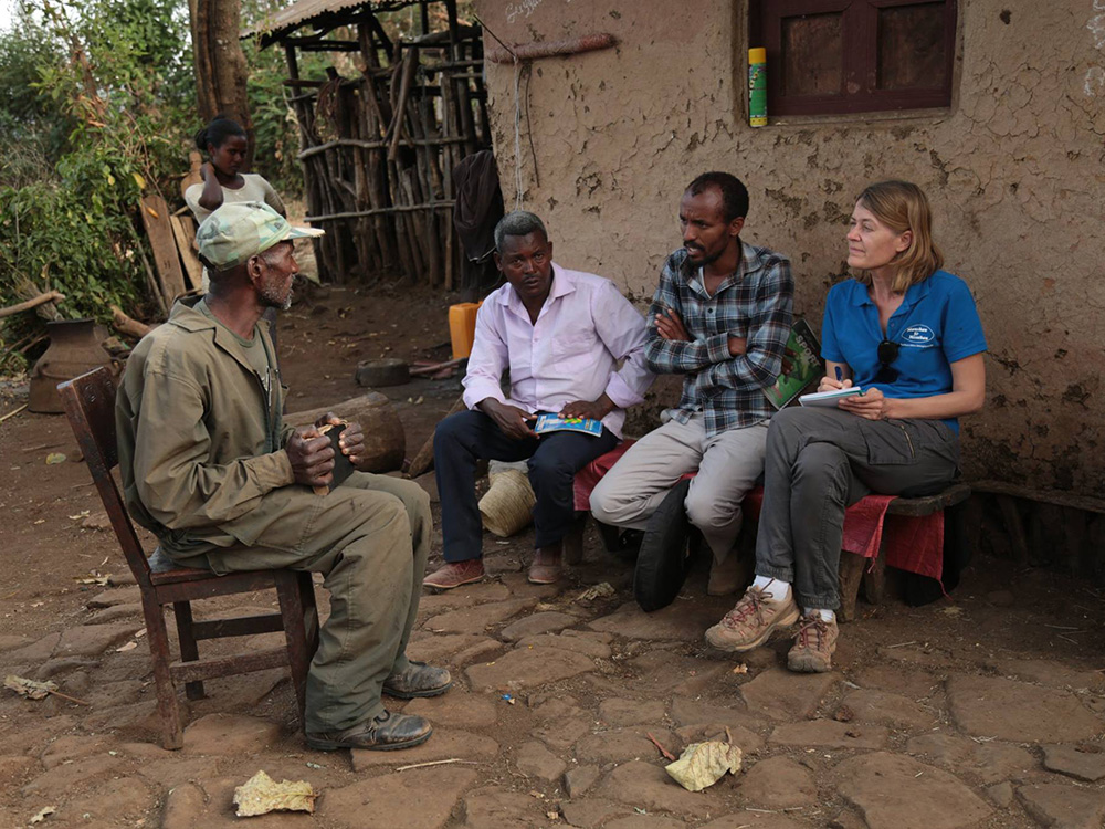 Drei äthiopische Männer sitzen zusammen und unterhalten sich mit einer weißen Frau, die Notizen macht