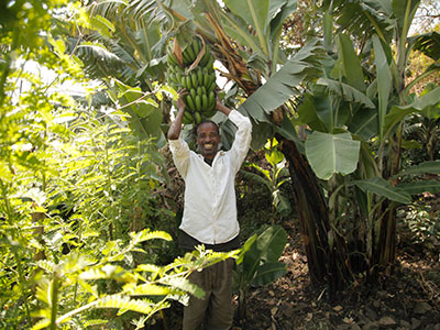 Ein Mann in Äthiopien steht unter einer Bananenstaude