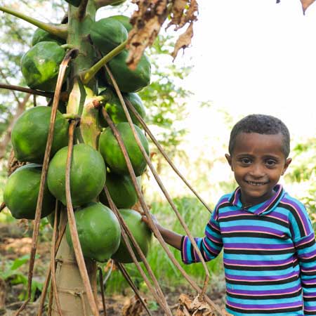 Junge im Garten mit Papaya Baum