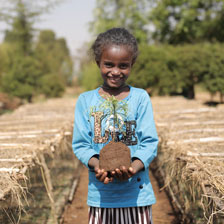 Ein Mädchen steht auf einem Feld und hält mit beiden Händen einen Baumsetzling.