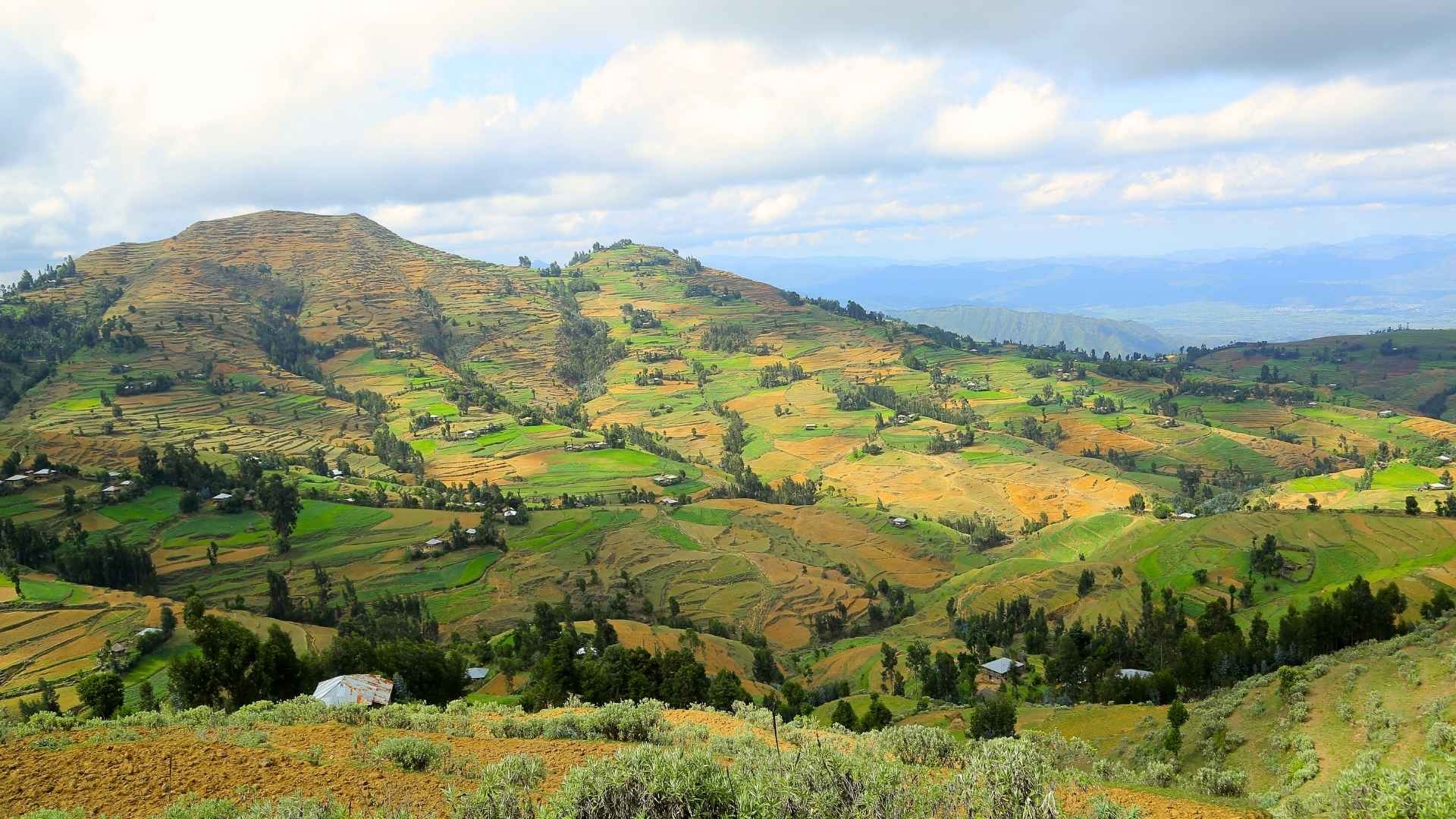 Hügelige Landschaft von Tigray
