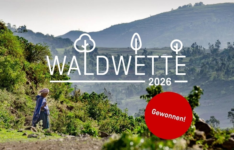 Eine Frau geht inmitten einer üppigen, grünen Landschaft einen Pfad entlang.
