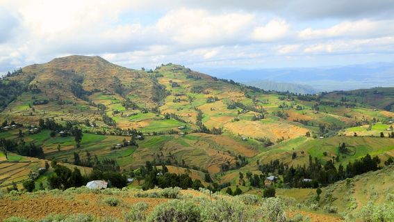 Hügelige Landschaft in Tigray