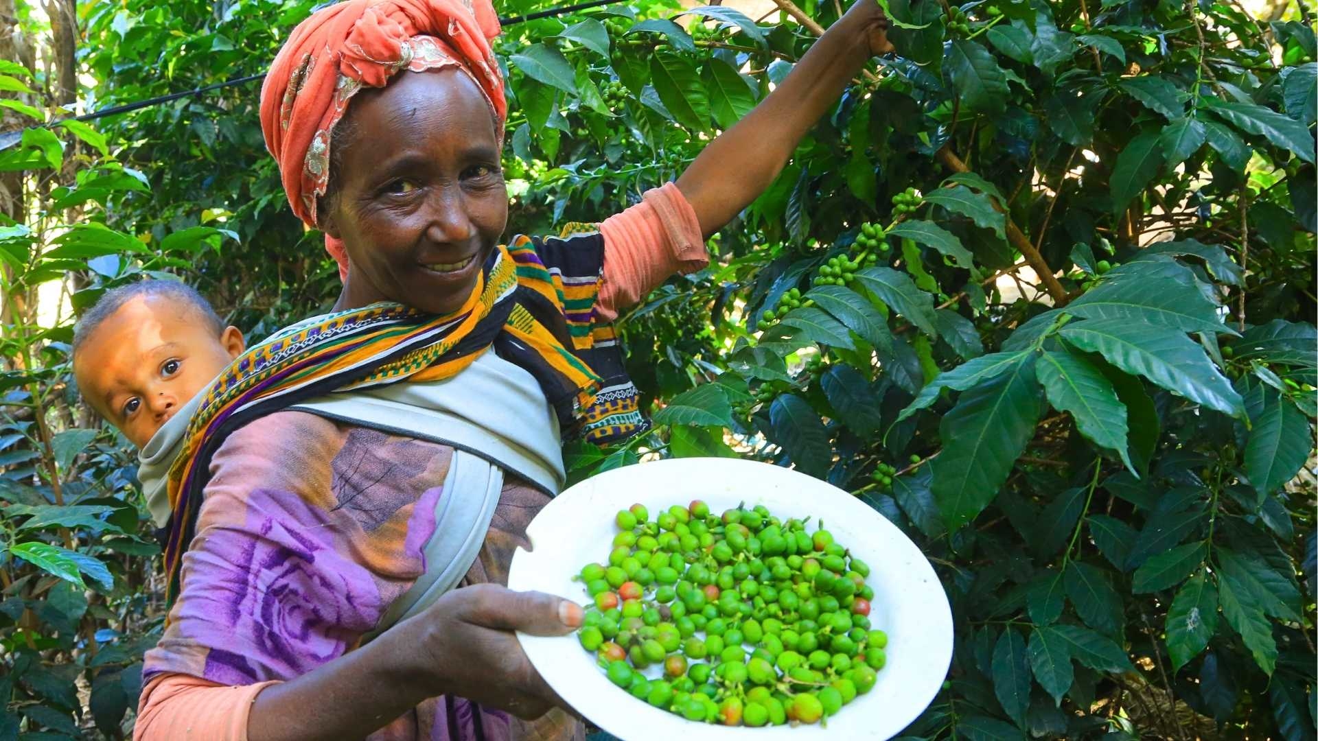 Eine Frau steht mit ihrem Kind auf dem Rücken vor einem Strauch und pflückt Früchte.