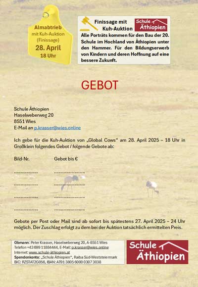 Formular für die Kuh-Auktion von Schule Äthiopien