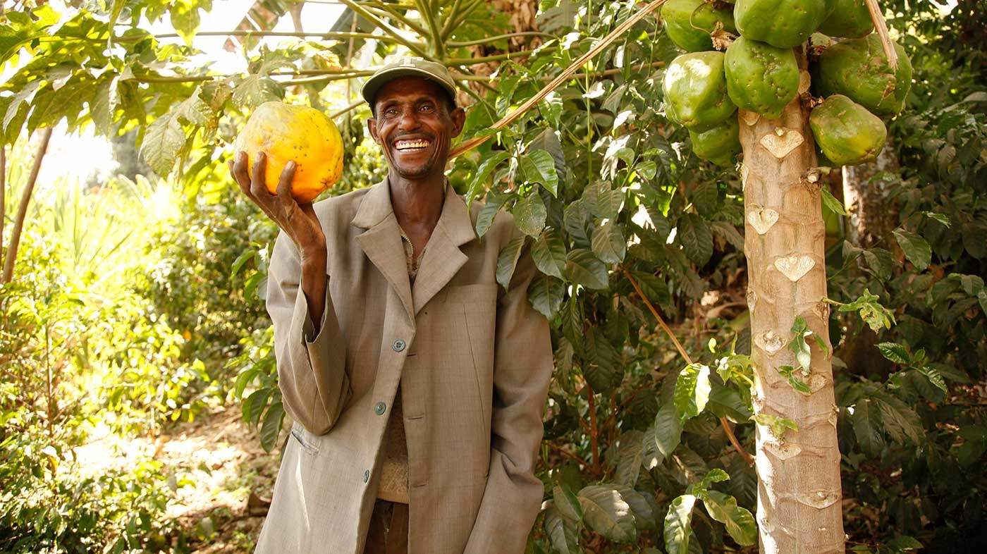 Mann in Äthiopien mit Papaya in der Hand vor einem papaya baum