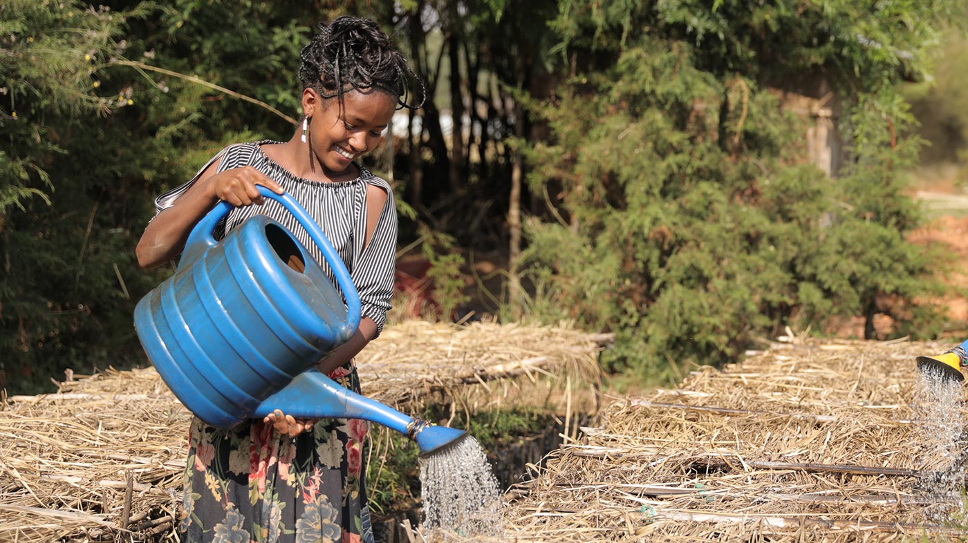 Frau in Äthiopien die Setzlinge in einer Baumschule gießt