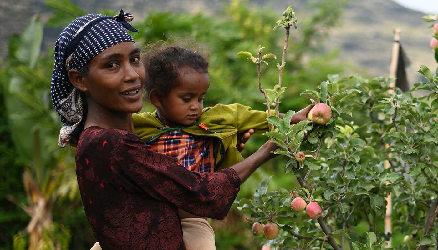 Eine Mutter hält ihr Kind auf dem Arm, das einen Apfel von einem Baum pflückt