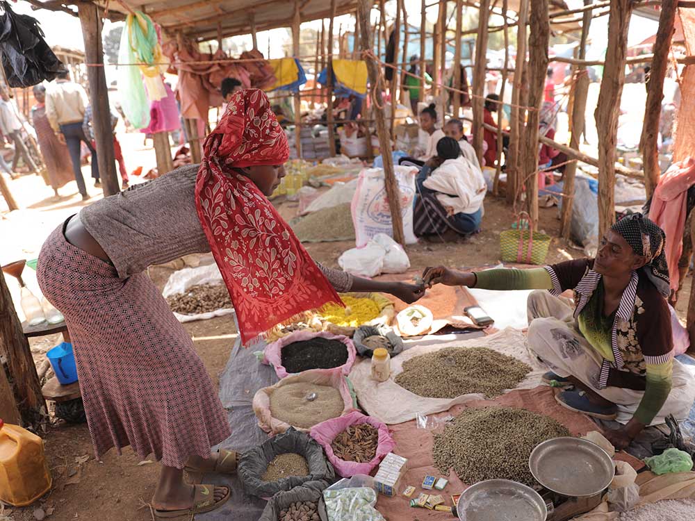 Blick auf einen äthiopischen Markt. Eine Frau sitzt am Boden mit ihren Waren, eine weitere Frau steht vor ihr und überreicht ihr Geld.