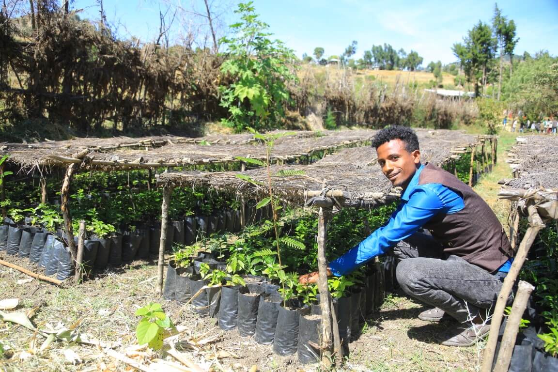 Äthiopischer Obstbauer in einer Baumschule von Menschen für Menschen