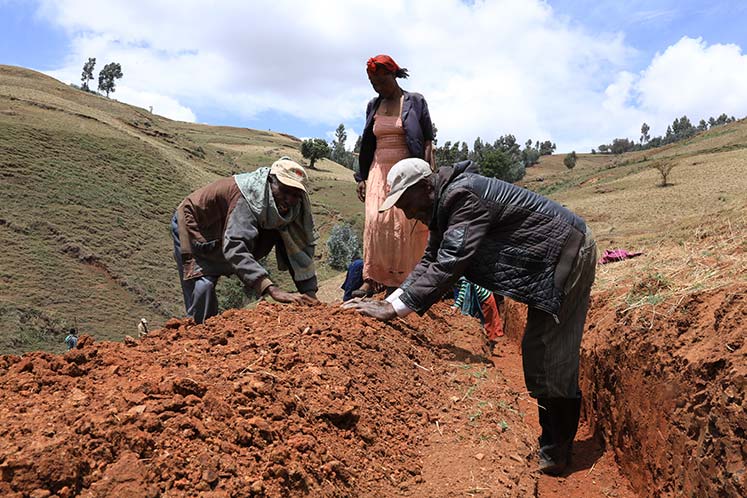 Männer und Frauen in Äthiopien graben einen Graben gegen Bodenerosionen