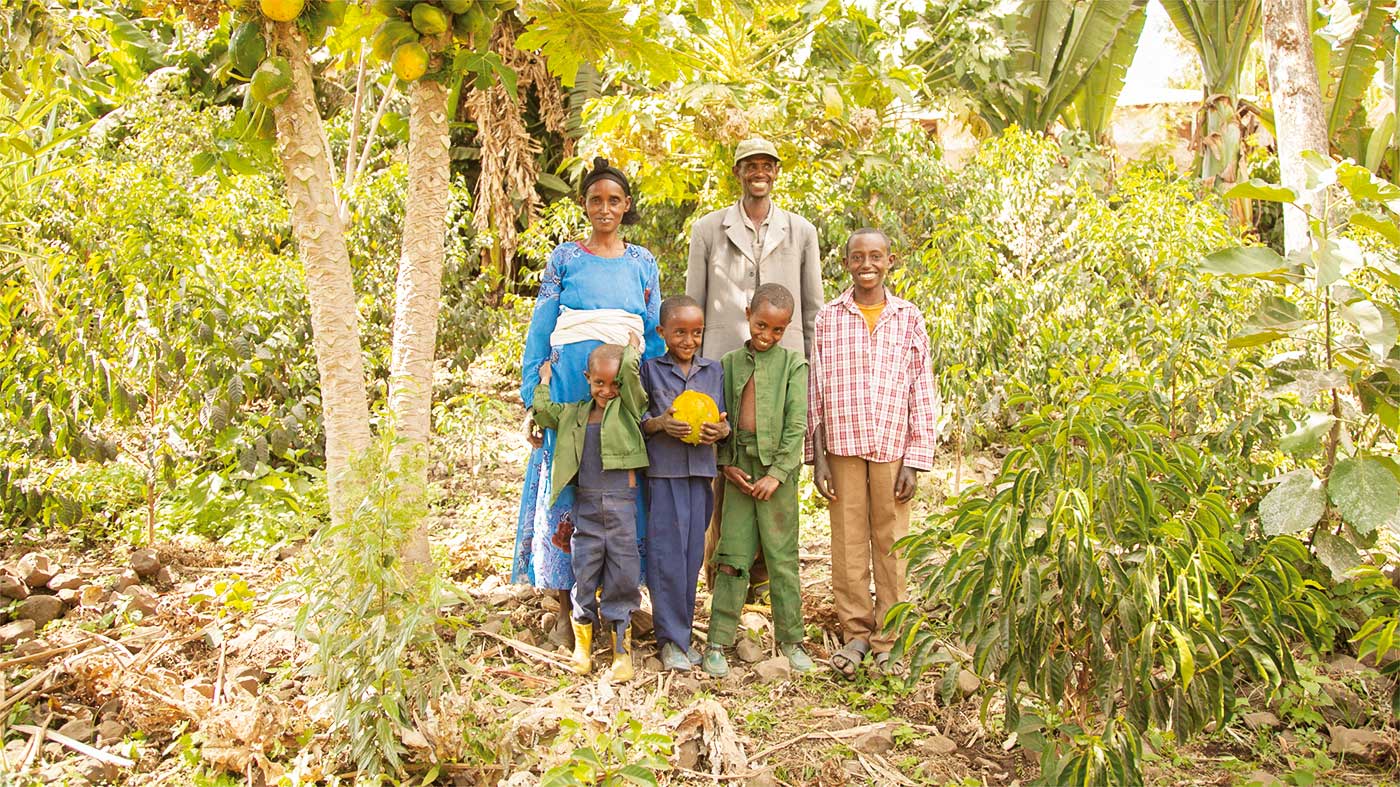 Familie in Äthiopien inmitten ihres Gemüsefeldes