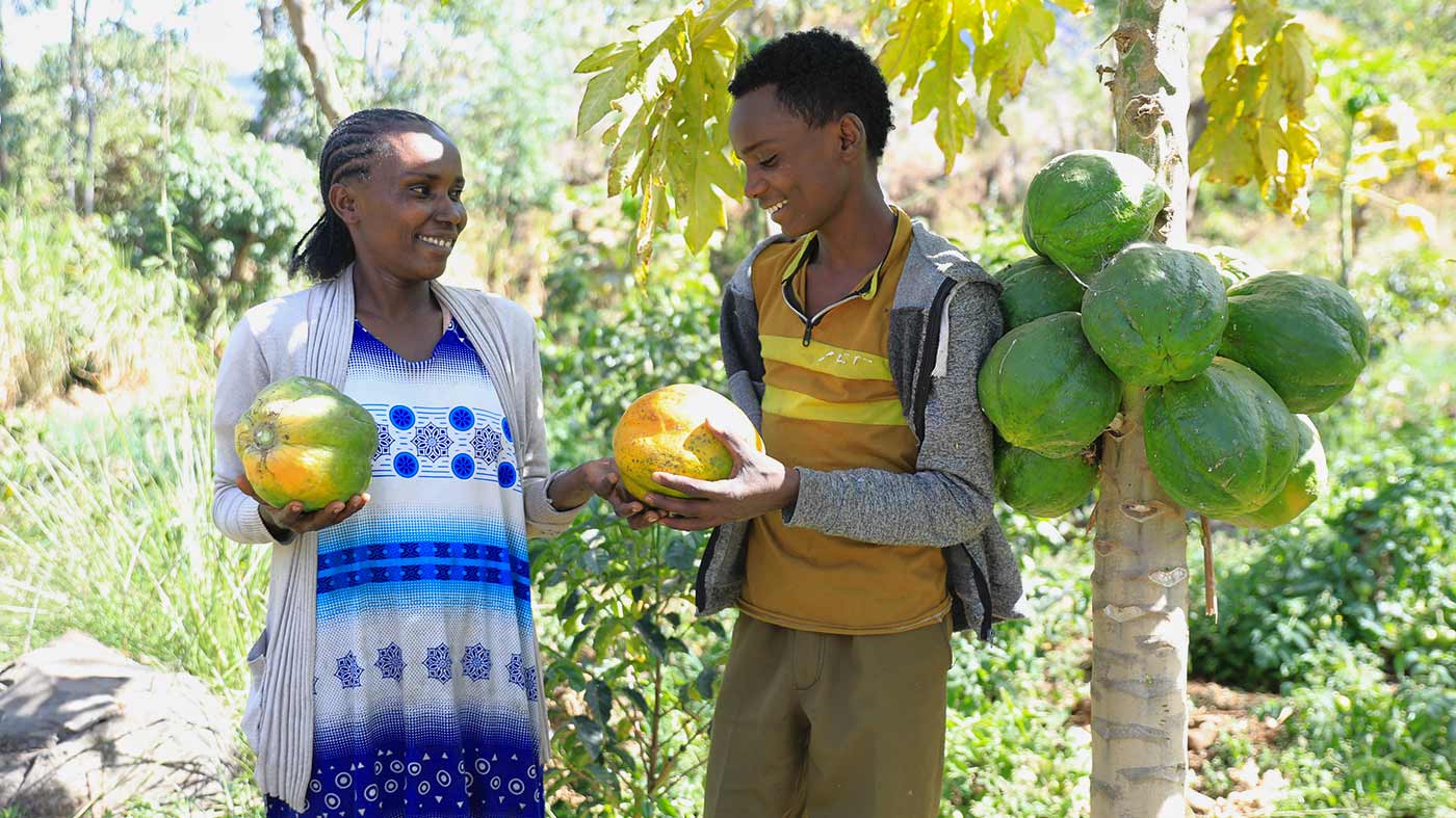 Eine äthiopische Frau und ein Mann begutachten ihren Obstbaumertrag