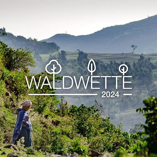 Eine landschaftliche Aufnahme vom Hochland in Äthiopien, in der Mitte des Bildes steht eine Frau in einem blauen Umhang, im Hintergrund sind bewaldete Berge zu sehen. Darüber ist das Waldwette-Logo zu sehen