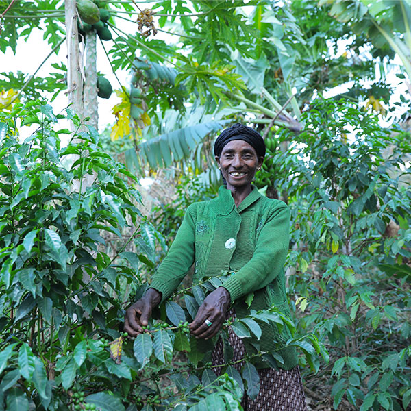 Kanani steht mit frischen Papayas in ihrem Garten