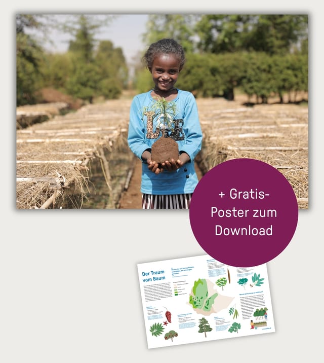 Kind mit Setzling und Hinweis auf das Gratis-Poster zum Download